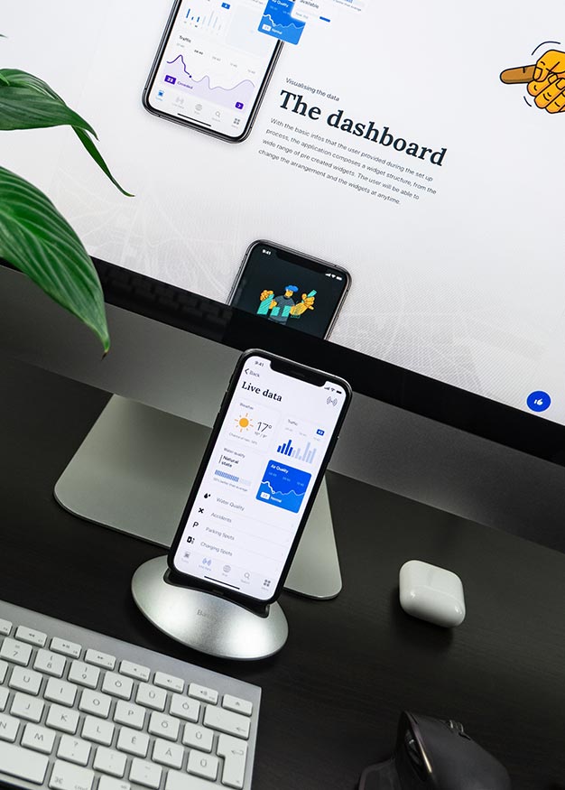 Professional Website Development